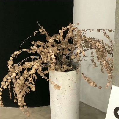 长春福瑞交流群